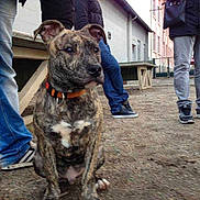 ISCO a rejoint le concours — aidez-le/la à gagner de superbes lots !