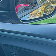 River is registered to the contest to win money with this photo: dog, french_bulldog, car, side_mirror, window, red_harness, tongue_out, reflection, outdoor, trees, sign, enrollment, vehicle, pet, cute, curious, daylight, roadside, car_door, lock_buttons