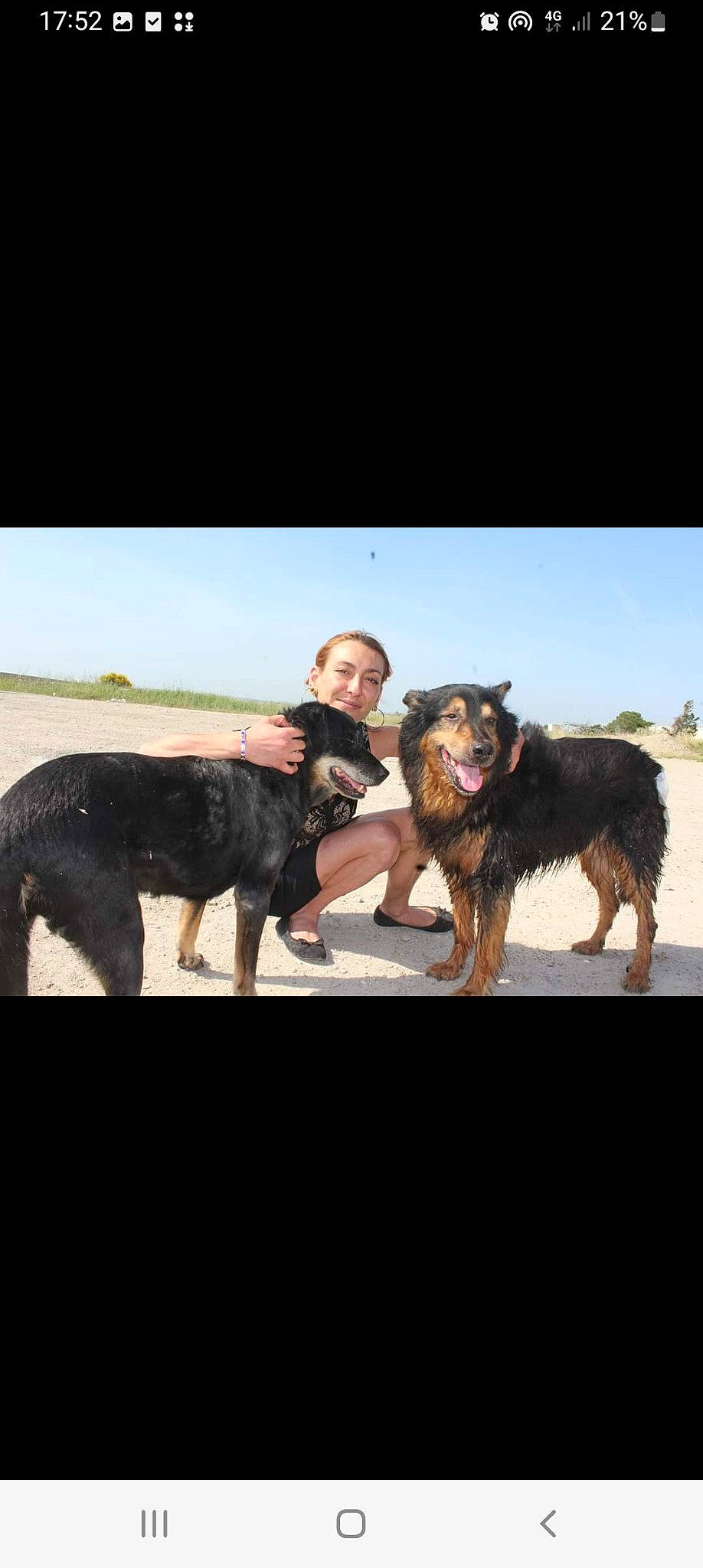 Gamine participe au concours pour gagner de l'argent avec cette photo : canidae, carnivore, companion_dog, dog, dog_breed, dog_walking, flash_photography, fun, gesture, guard_dog, happy, herding_dog, landscape, mammal, sky, sporting_group, travel, vertebrate, working_animal, working_dog