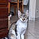 Charlie