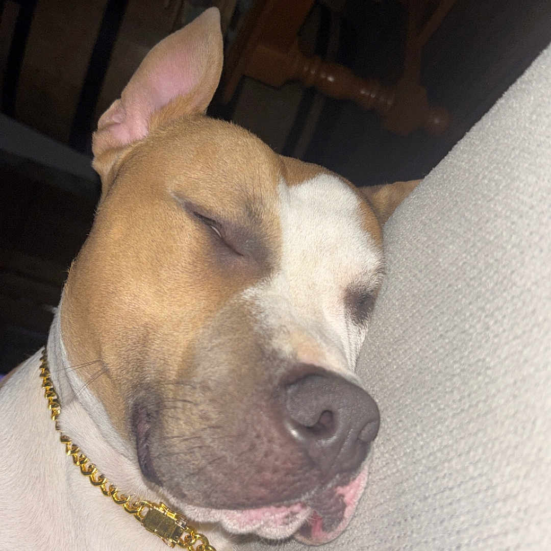 Asko