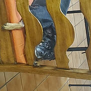 Bella is registered to the contest to win money with this photo: art, calf, chair, fawn, flooring, foot, hardwood, high_heels, human_leg, knee, paint, pattern, plywood, sandal, sock, stairs, thigh, visual_arts, wood, wood_stain