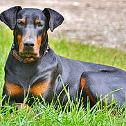 Dzeus a rejoint le concours — aidez-le/la à gagner de superbes lots !