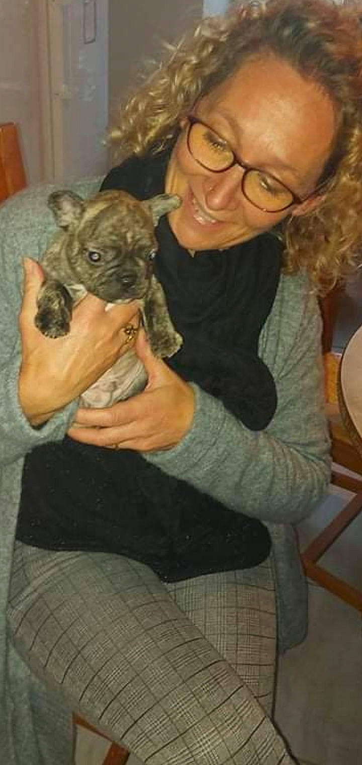 Snoopy participe au concours pour gagner de l'argent avec cette photo : carnivore, chair, comfort, companion_dog, dog, dog_breed, ear, eye, fawn, felidae, glasses, hair, head, lap, organ, smile, snout, toy_dog, whiskers, wrinkle