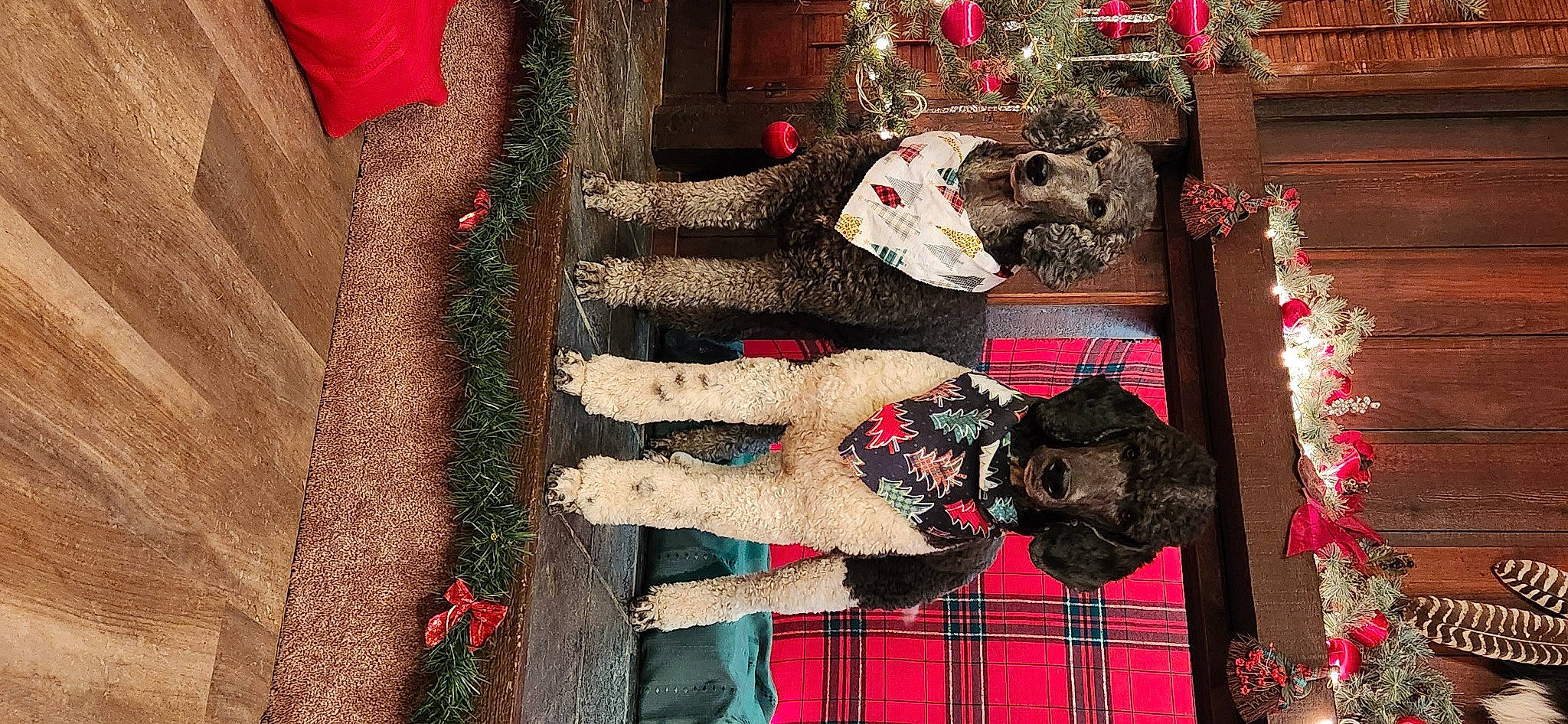 Nakoah joined the competition — help win amazing prizes! carmine, ceremony, dress, event, pattern, plaid, red, room, tartan, temple, textile, tradition, tree