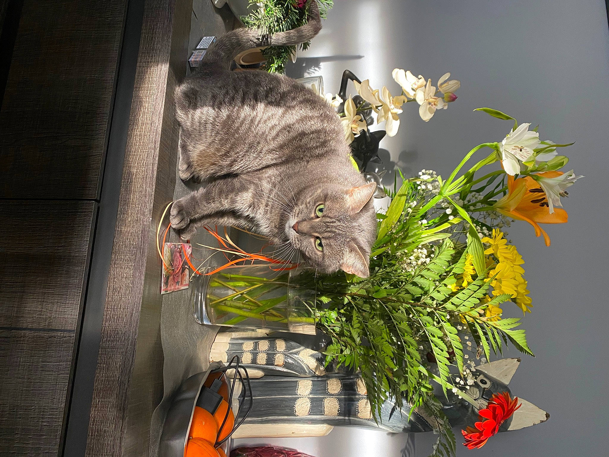 Perle a rejoint le concours — aidez-le/la à gagner de superbes lots ! art, artificial_flower, creative_arts, cut_flowers, felidae, floral_design, floristry, flower, flower_arranging, flowerpot, houseplant, kitchen_utensil, plant, sculpture, shelf, small_to_medium_sized_cats, still_life, twig, window, wood