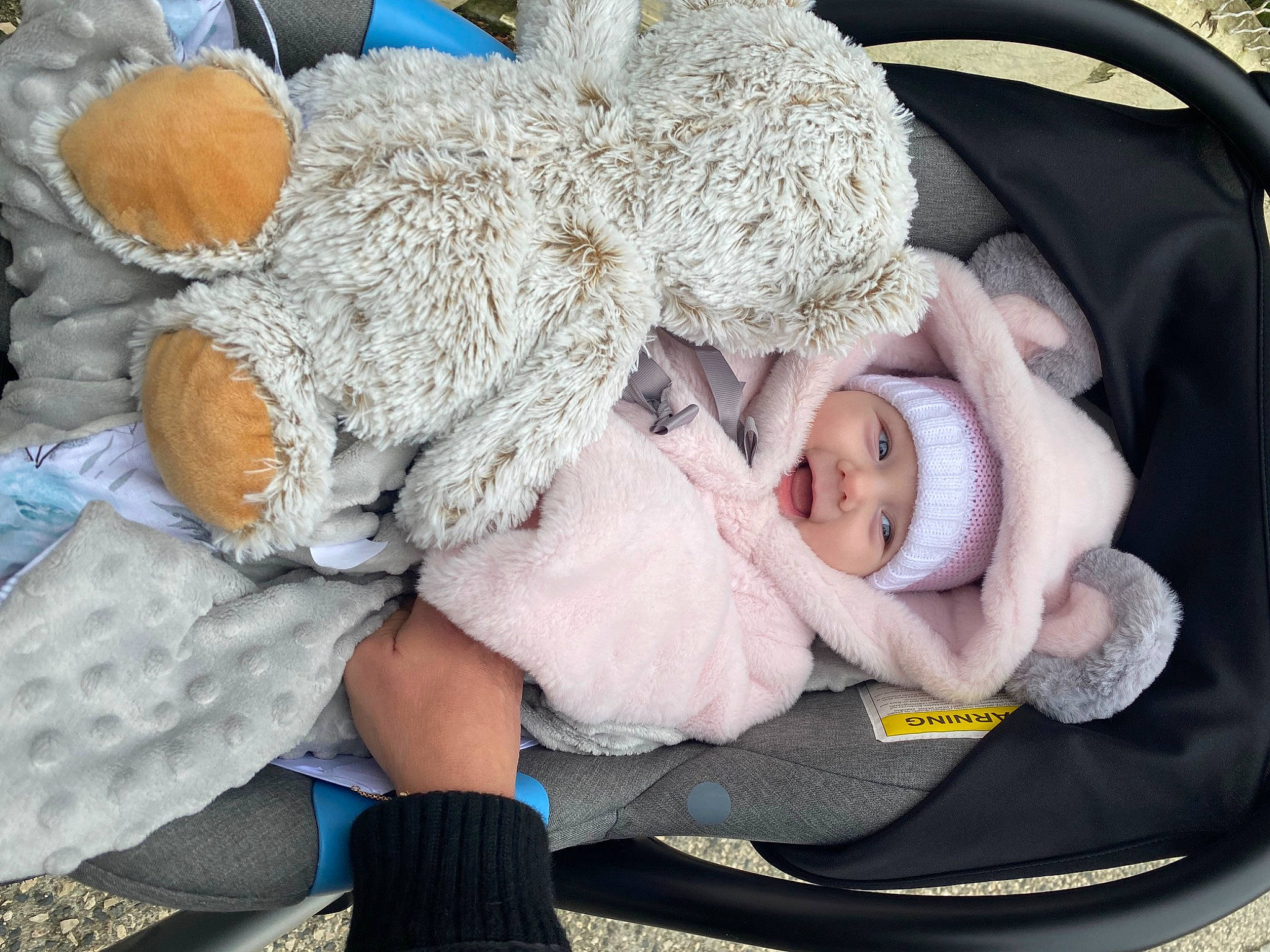 Luna participe au concours pour gagner de l'argent avec cette photo : baby, baby_products, baby_sleeping, baby_toddler_clothing, car_seat, child, comfort, foot, fur, headgear, headwear, knit_cap, lap, leg, linens, nap, person, sitting, stuffed_toy, toddler