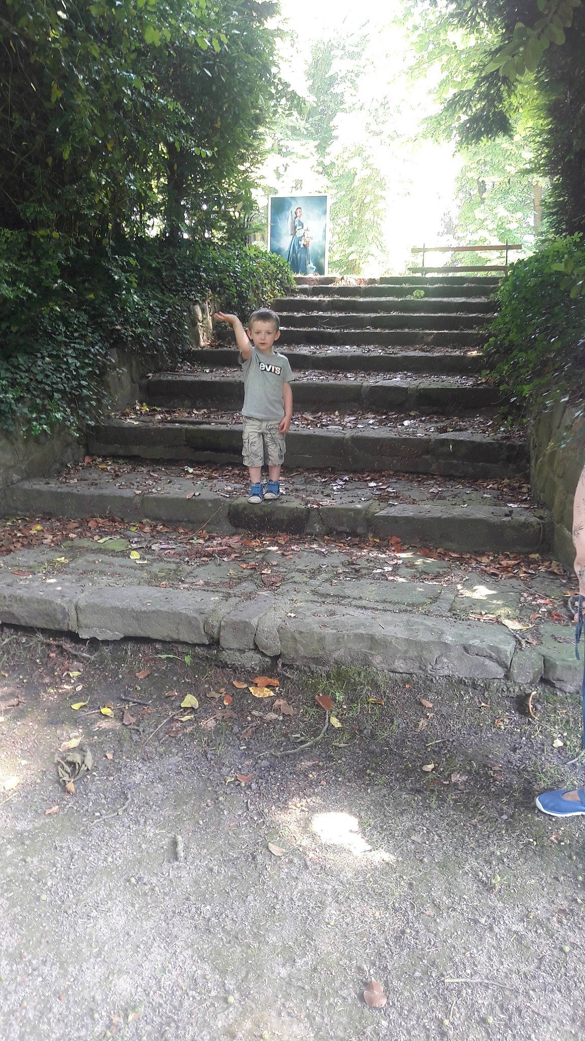 Gauthier participe au concours pour gagner de l'argent avec cette photo : leaf, person, plant, soil, state_park, sunlight, tree, wood