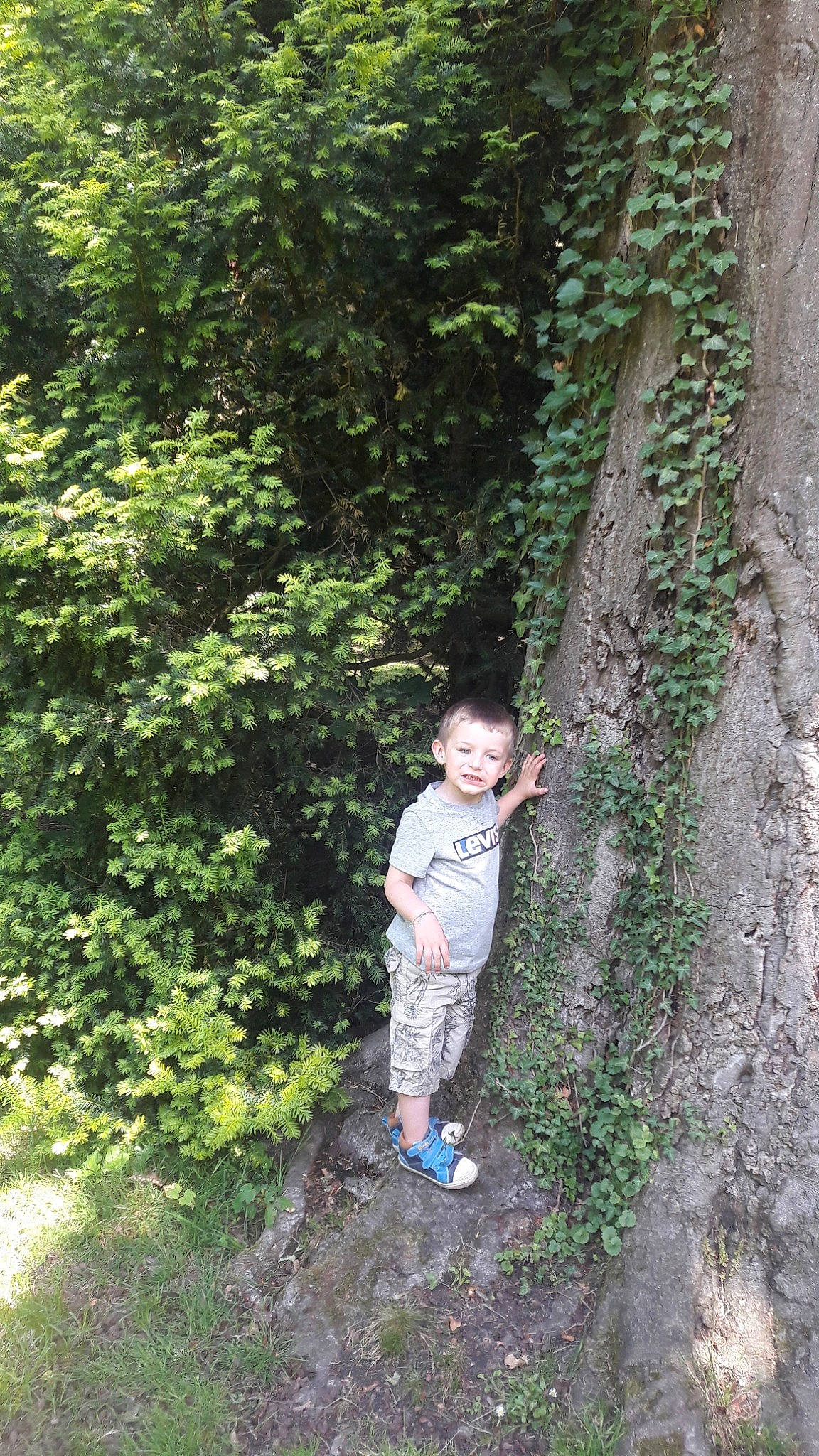 Gauthier participe au concours pour gagner de l'argent avec cette photo : forest, jungle, old_growth_forest, person, plant, tree