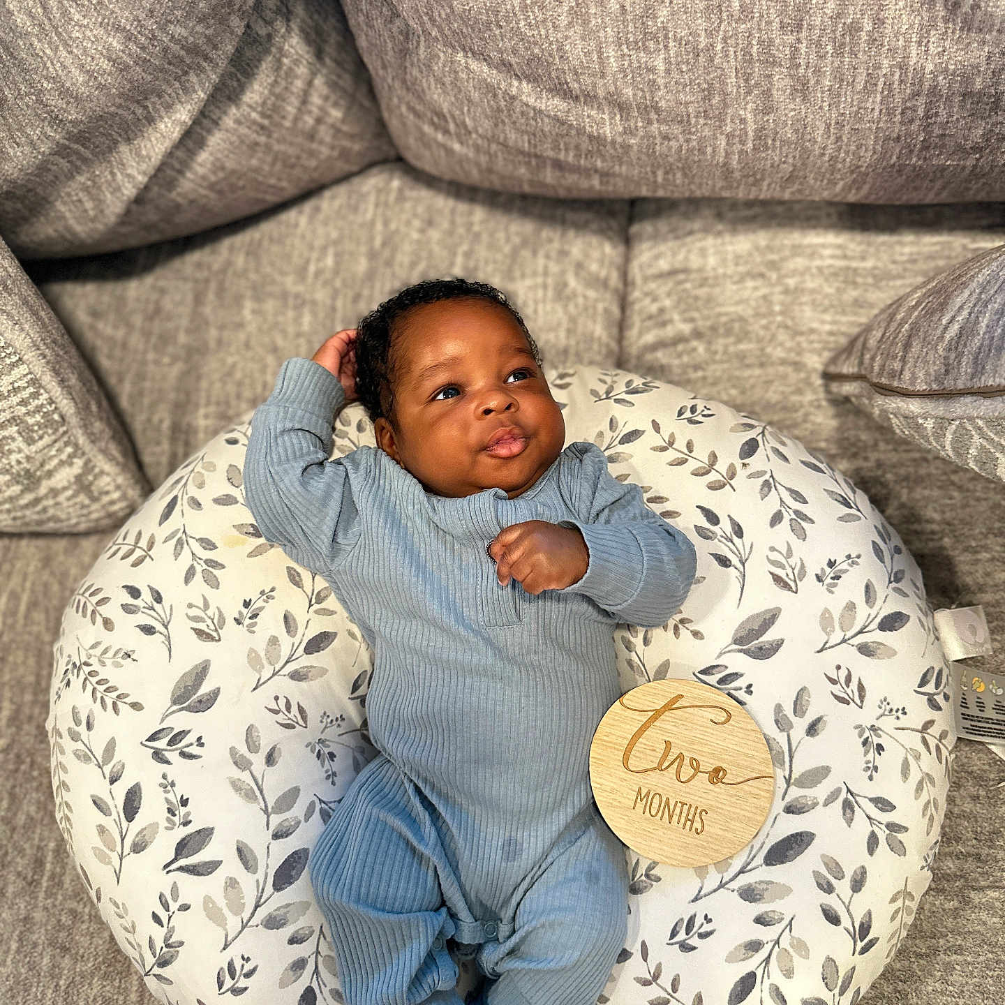 Damian joined the competition — help win amazing prizes! animal, architecture, baby, beanbag, blanket, bodypart, building, clothing, couch, cushion, face, finger, furniture, hand, happy, head, homedecor, indoors, livingroom, longsleeve