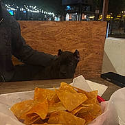 Sosa is registered to the contest to win money with this photo: dog, black_dog, nachos, chips, basket, table, person, jacket, night, lights, outdoor, restaurant, wooden_board, food, plate, napkin, phone, dark, curious, pet