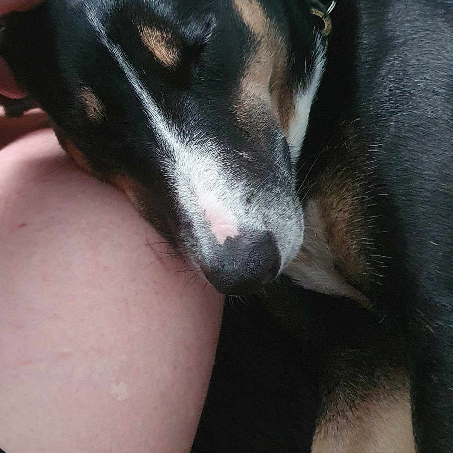 Skye