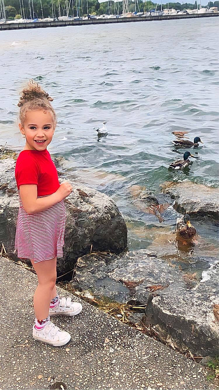 Lya participe au concours pour gagner de l'argent avec cette photo : bird, child, duck, fun, happy, joy, lake, leisure, ocean, people_in_nature, person, recreation, rock, sandal, seabird, smile, t_shirt, toddler, travel, water