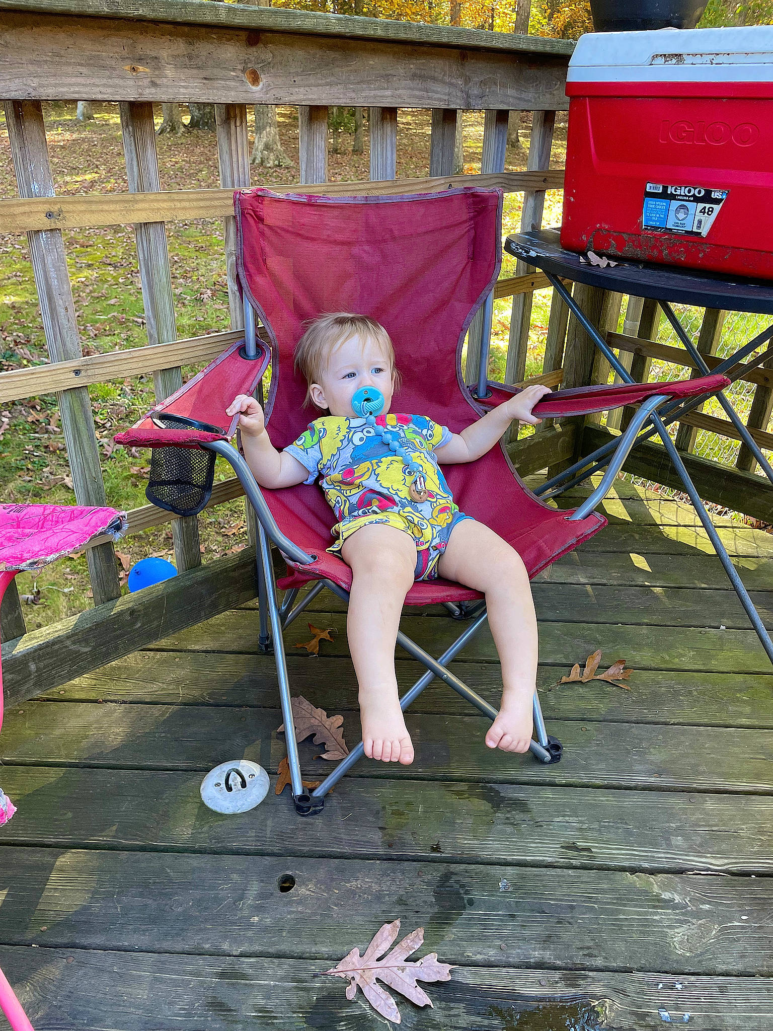 Ernest joined the competition — help win amazing prizes! baby_toddler_clothing, chair, child, foot, fun, furniture, grass, human_leg, leisure, magenta, outdoor_furniture, person, pink, public_space, recreation, red, sandal, sitting, toddler, vacation