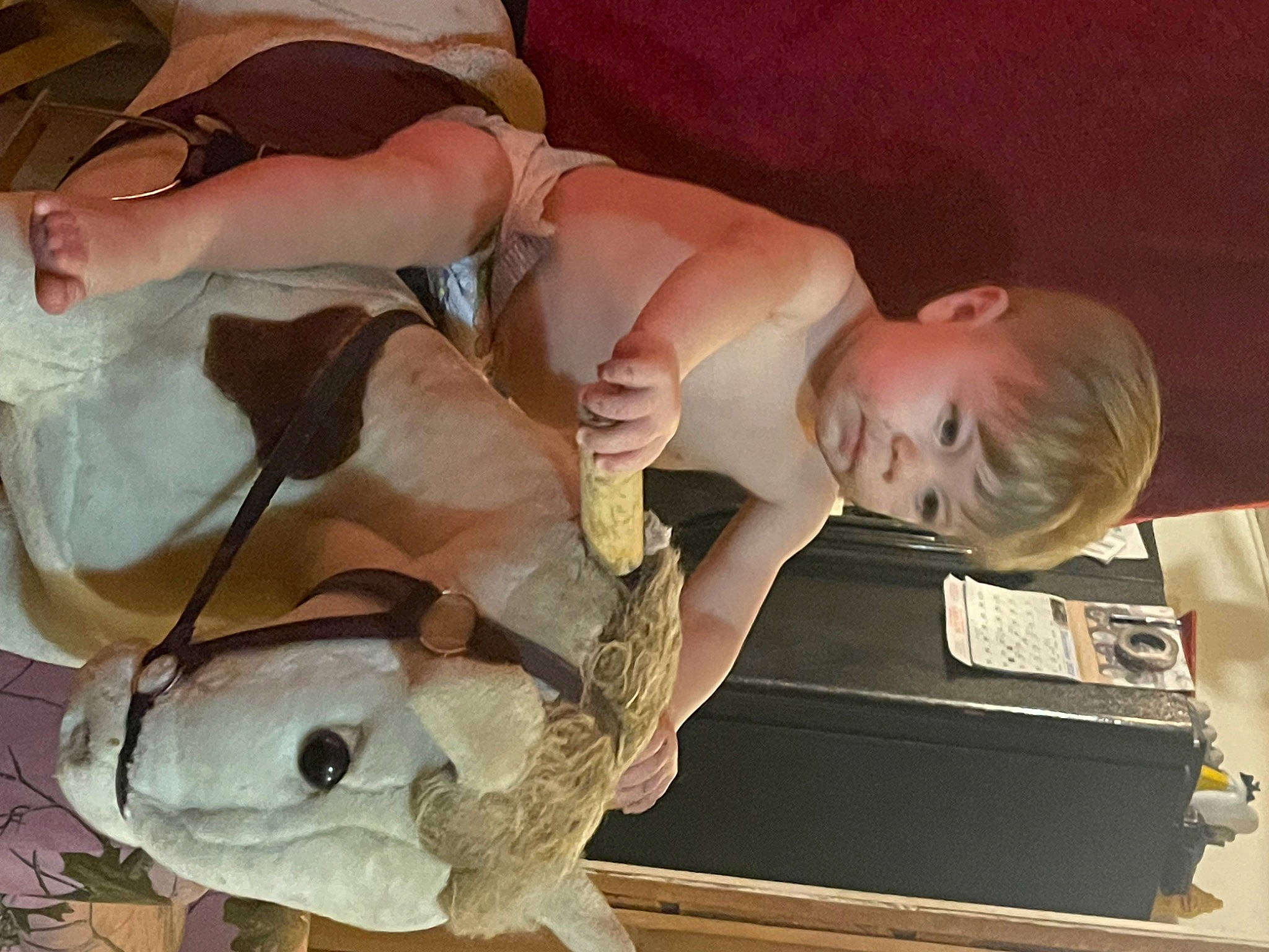 Leon joined the competition — help win amazing prizes! abdomen, baby, chest, child, comfort, dress, flesh, foot, fun, fur, hair, human_leg, nail, person, room, sitting, sunglasses, thigh, thumb, toddler