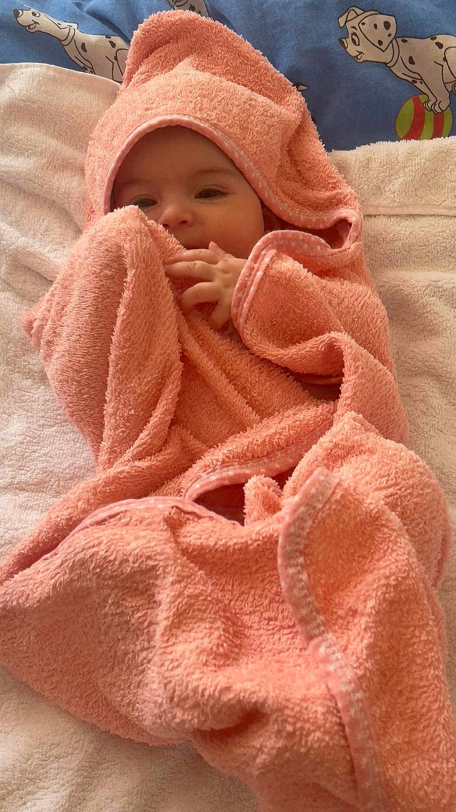 Delia joined the competition — help win amazing prizes! baby, towel, blanket, peach, wrapped, face, infant, soft, cute, child, bed, animal_print, dalmatian, pattern, hand, skin, cozy, lying, comfort, rest