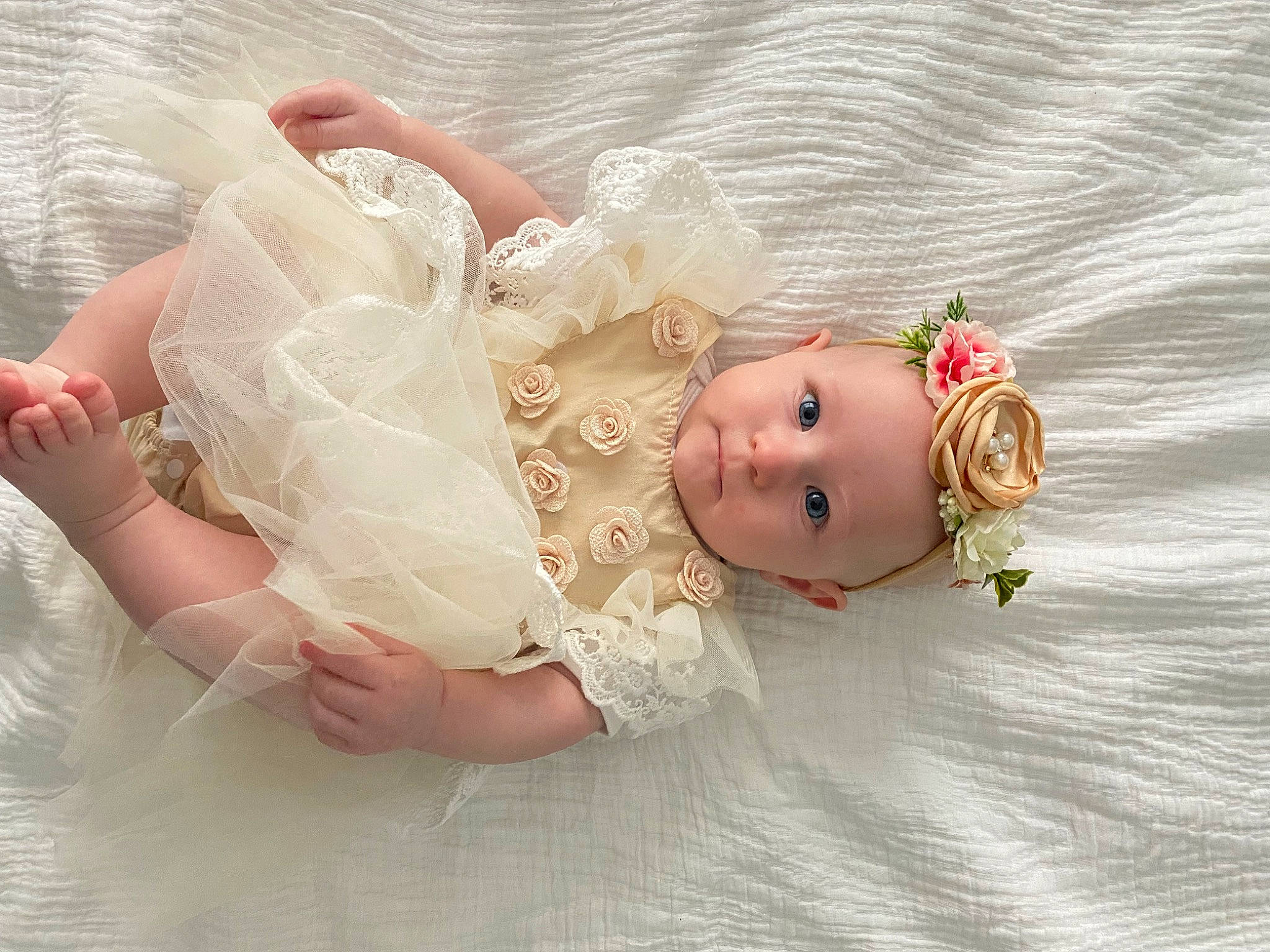 Locklynn is registered to the contest to win money with this photo: baby_toddler_clothing, beach, bridal_accessory, day_dress, doll, dress, embellishment, event, fashion_accessory, gown, happy, headpiece, peach, person, petal, pink, rose, skin, toddler, toy