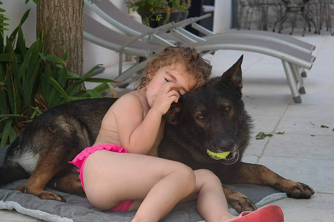 Gaëlle a rejoint le concours — aidez-le/la à gagner de superbes lots ! black_hair, carnivore, companion_dog, dog, dog_breed, fawn, foot, grass, happy, human_leg, lap, leg, leisure, mammal, person, plant, sitting, snout, sporting_group, thigh