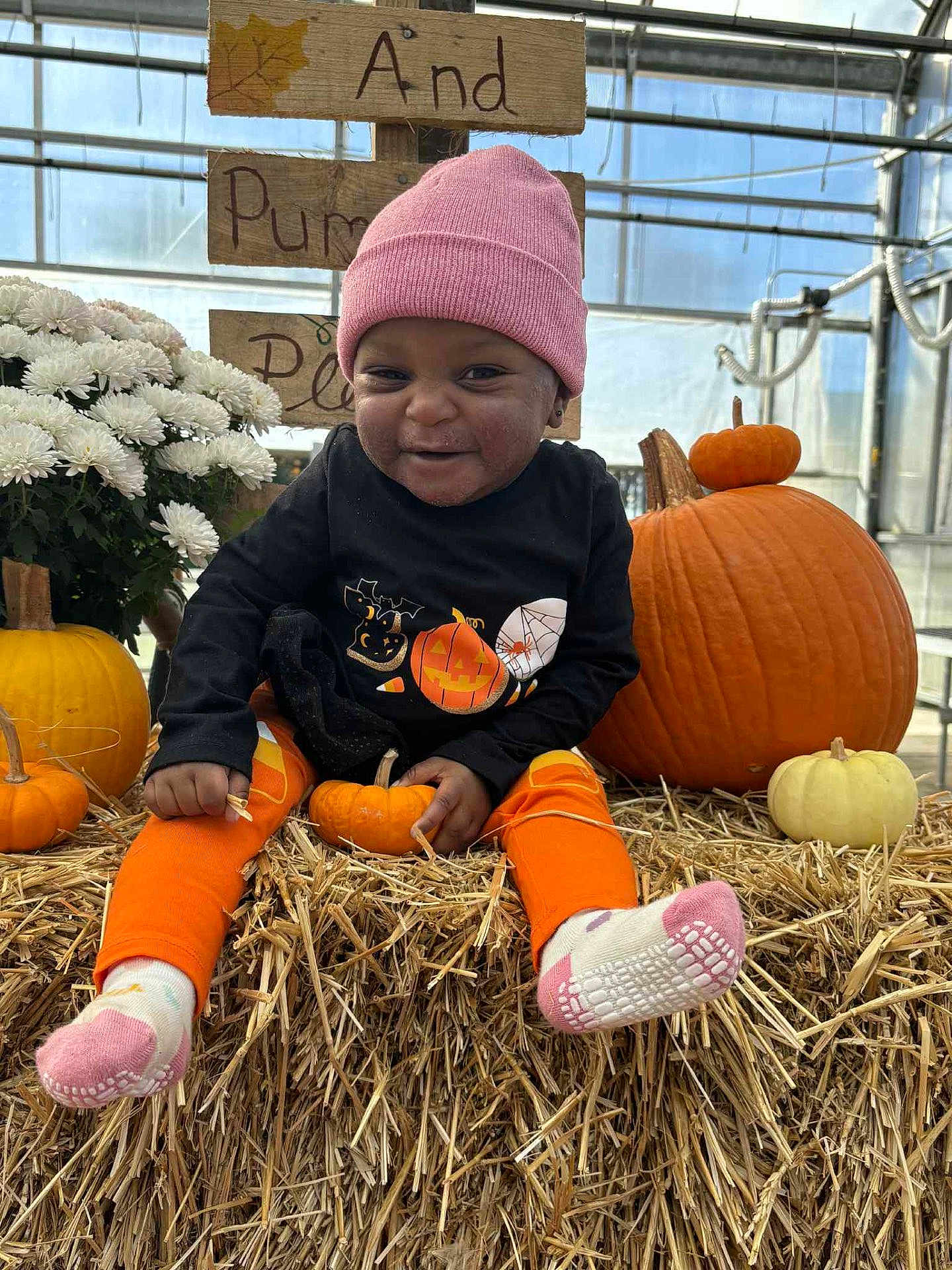 Cyleah Rogers is registered to the contest to win money with this photo: toddler, child, pumpkin, hay, orange_clothing, pink_beanie, socks, flowers, greenhouse, smiling, fall, harvest, cute, black_shirt, decor, seasonal, autumn, playful, festive, sitting