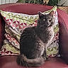 cat, gray_cat, fluffy, pet, animal, chair, red_leather, cushion, patterned_cushion, indoor, plant, green_plant, furniture, cozy, sitting, wide_eyes, looking, domestic_cat, fur, relaxed