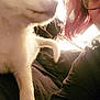 dog, white_dog, pet, person, glasses, red_hair, indoor, bed, blanket, curious, close_up, portrait, warm_light, cozy, human, animal, companion, friendship, furry, relaxation