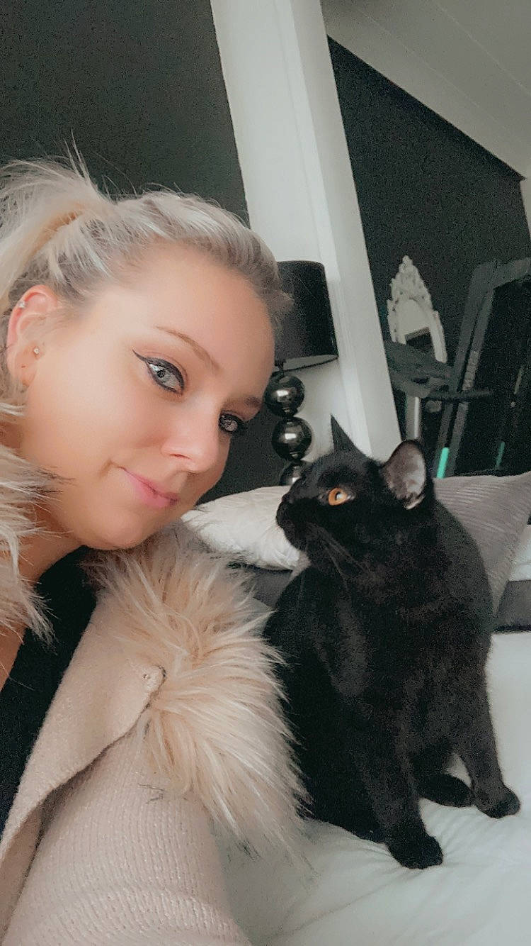 Ramses participe au concours pour gagner de l'argent avec cette photo : brown_hair, carnivore, cat, comfort, ear, eye, eyebrow, eyelash, fashion_accessory, fashion_design, felidae, flash_photography, formal_wear, fur, happy, head, iris, long_hair, small_to_medium_sized_cats, whiskers