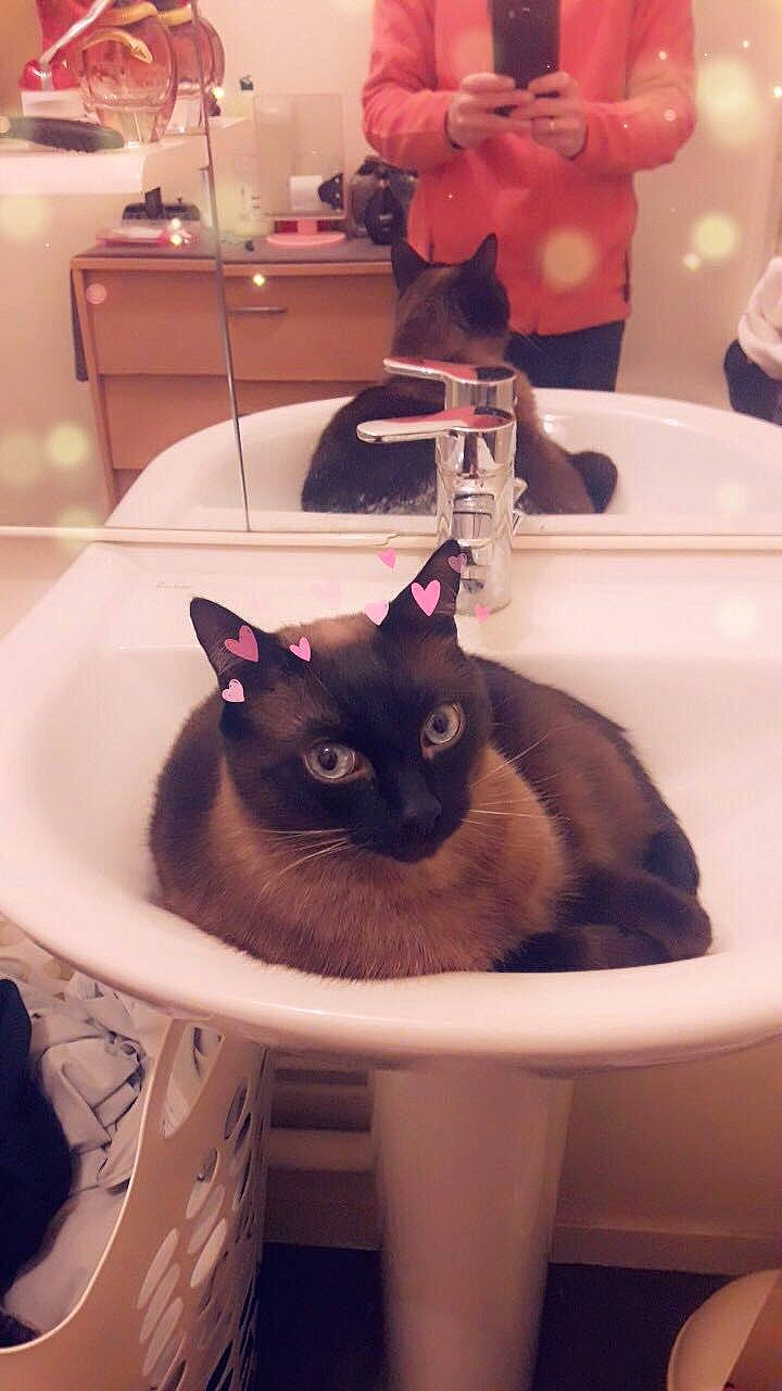 Bijoux participe au concours pour gagner de l'argent avec cette photo :