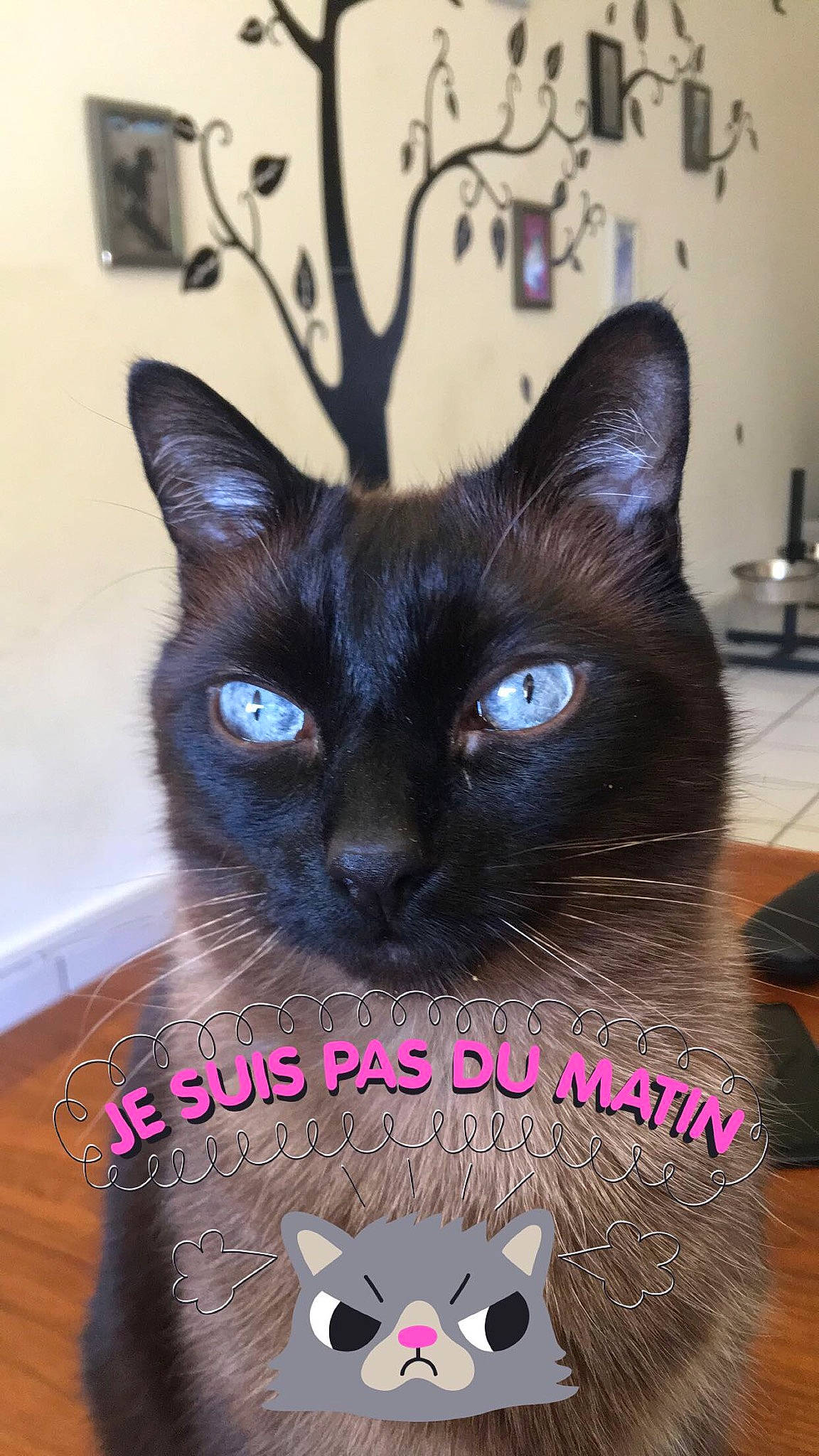 Bijoux participe au concours pour gagner de l'argent avec cette photo :