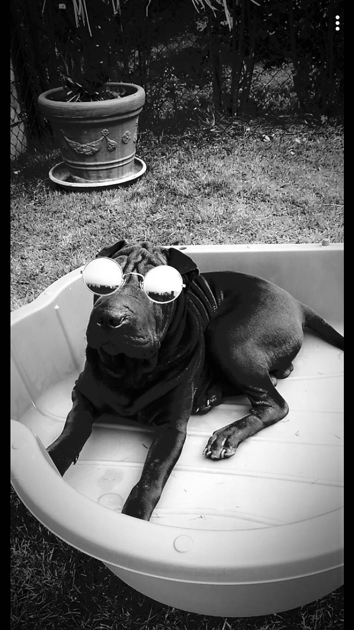 Owen a rejoint le concours — aidez-le/la à gagner de superbes lots !