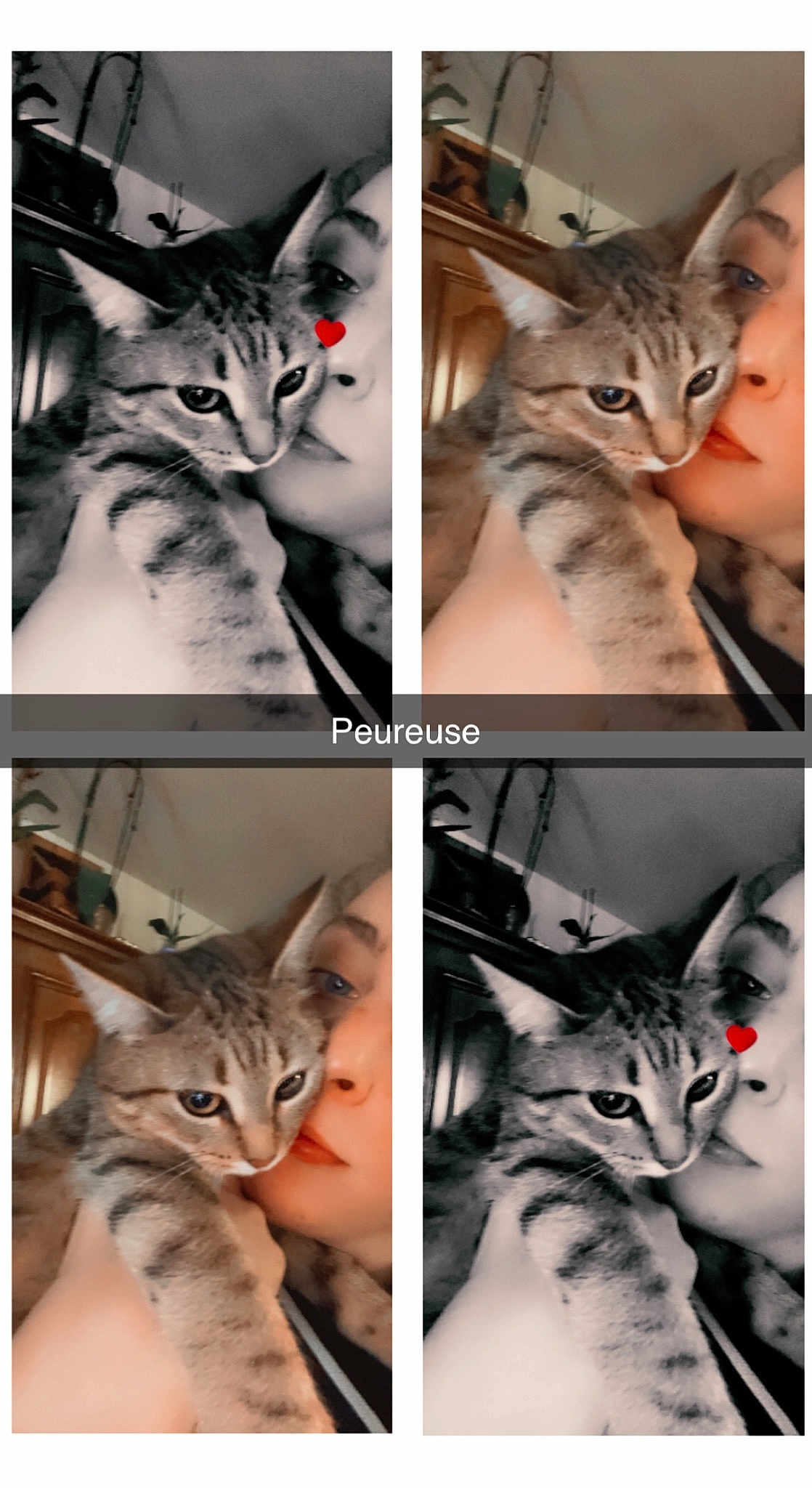 Peureuse