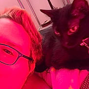 Onyx Lillian joined the competition — help win amazing prizes! person, eyeglasses, cat, black_cat, pet, collar, indoor, selfie, close_up, face, blanket, couch, lamp, pink_lighting, red_tint, fur, whiskers, eyes, head, relaxed