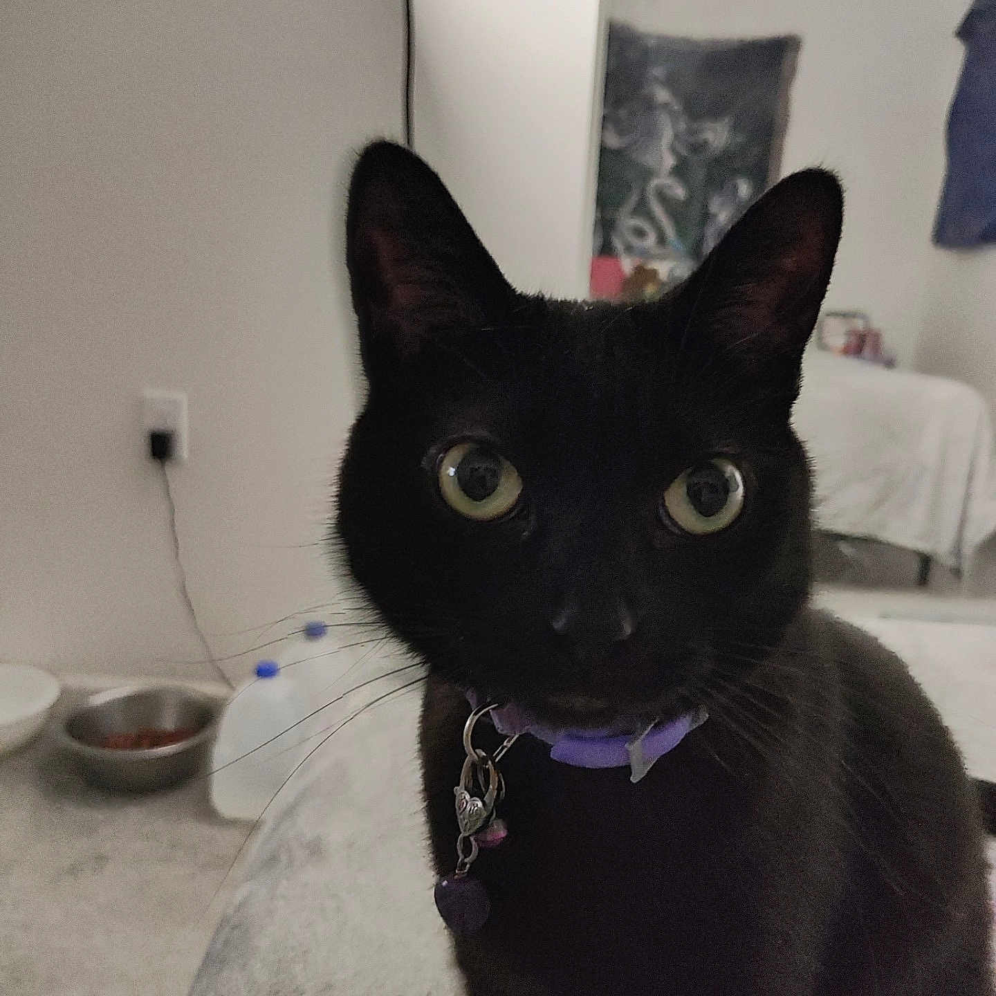 Onyx Lillian
