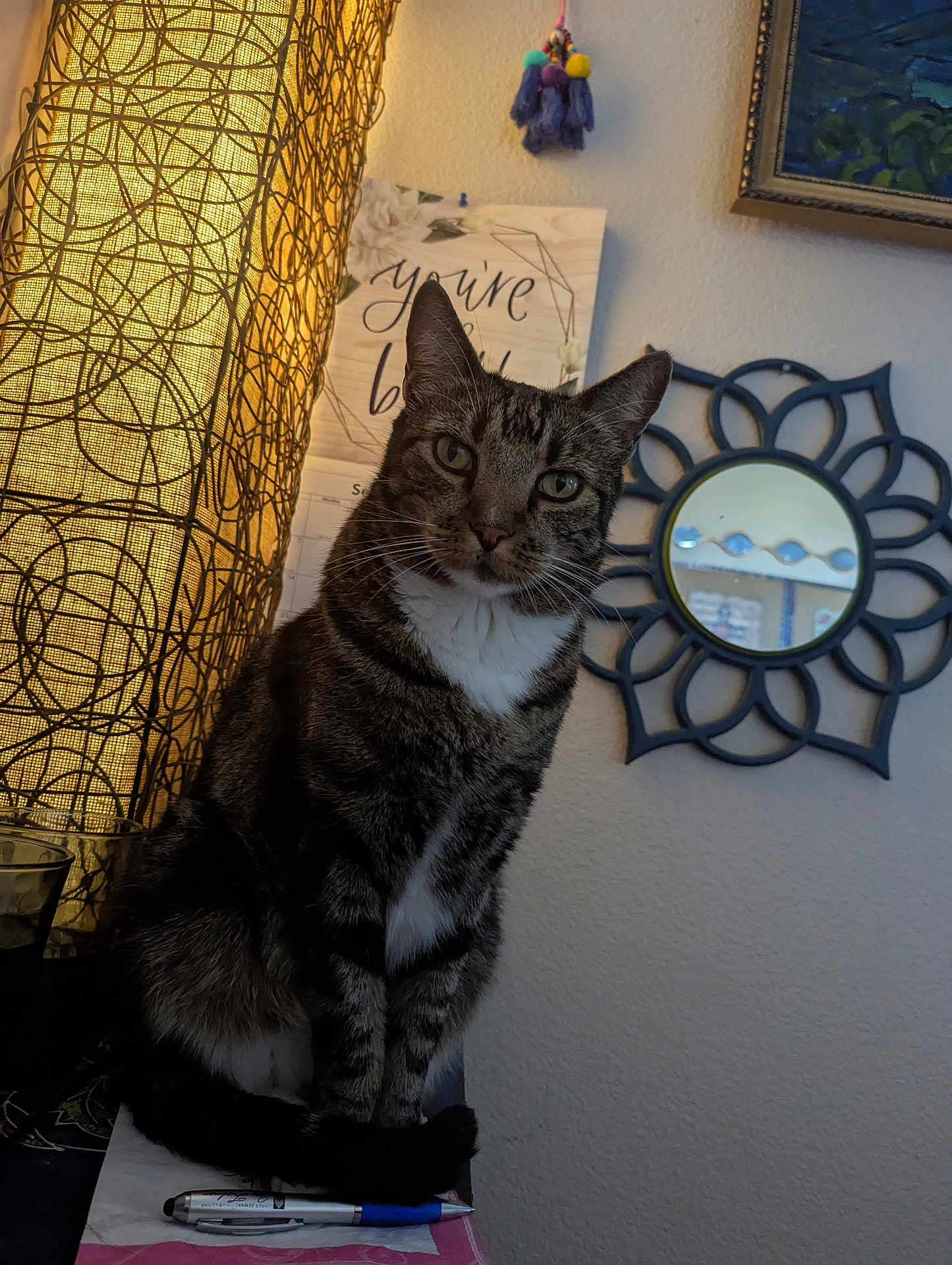 Stripes is registered to the contest to win money with this photo: cat, tabby_cat, pet, indoor, lamp, lighting, mirror, wall_decor, table, pen, curious, feline, domestic_animal, white_markings, brown_fur, striped_fur, home_interior, decorative, cozy, animal_portrait