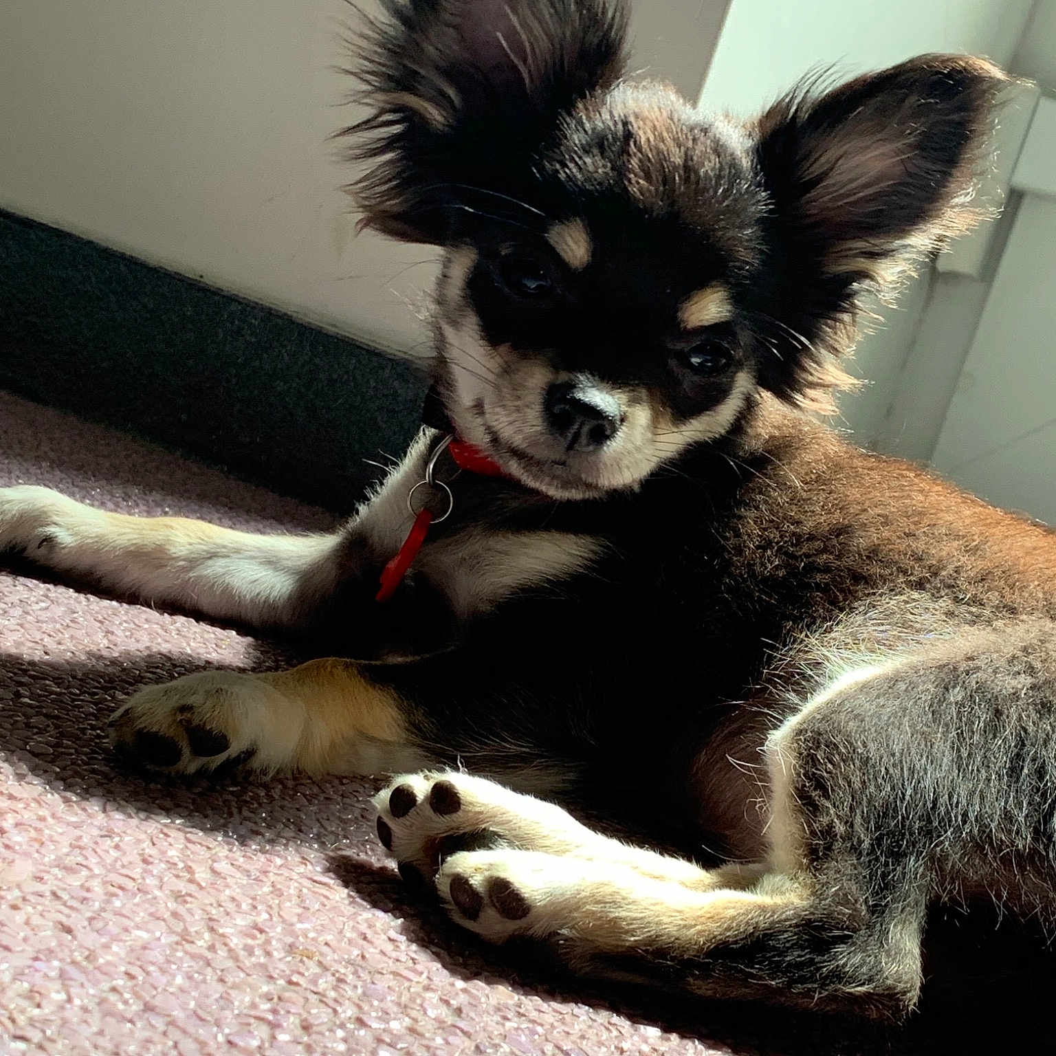 Pixie