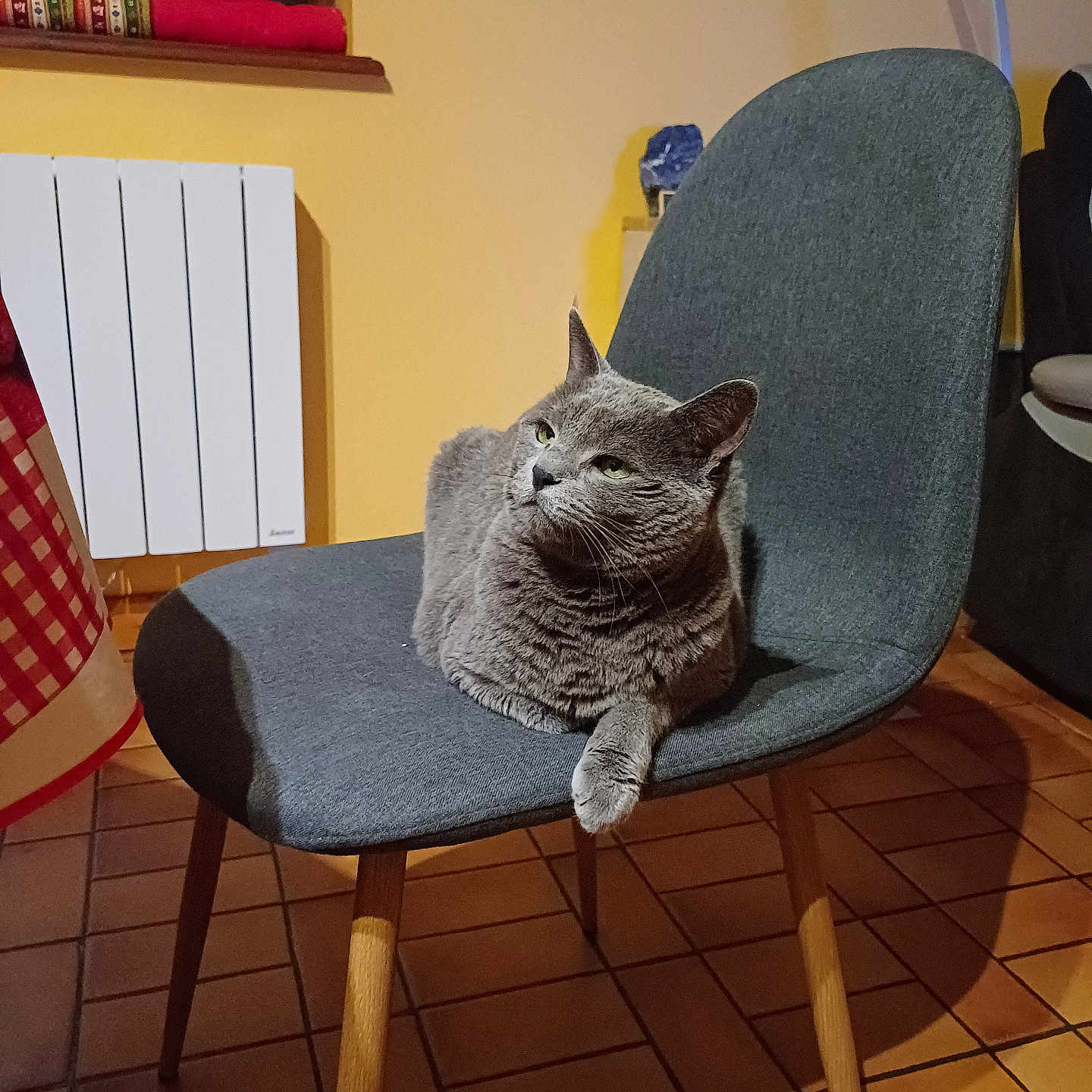 Sélene