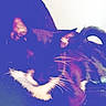 animal, black_and_white, blurred, cat, close_up, color_distortion, cute, dark_background, ear, feline, fur, indoor, mammal, pet, red_object, relaxing, resting, sleepy, tail, whiskers