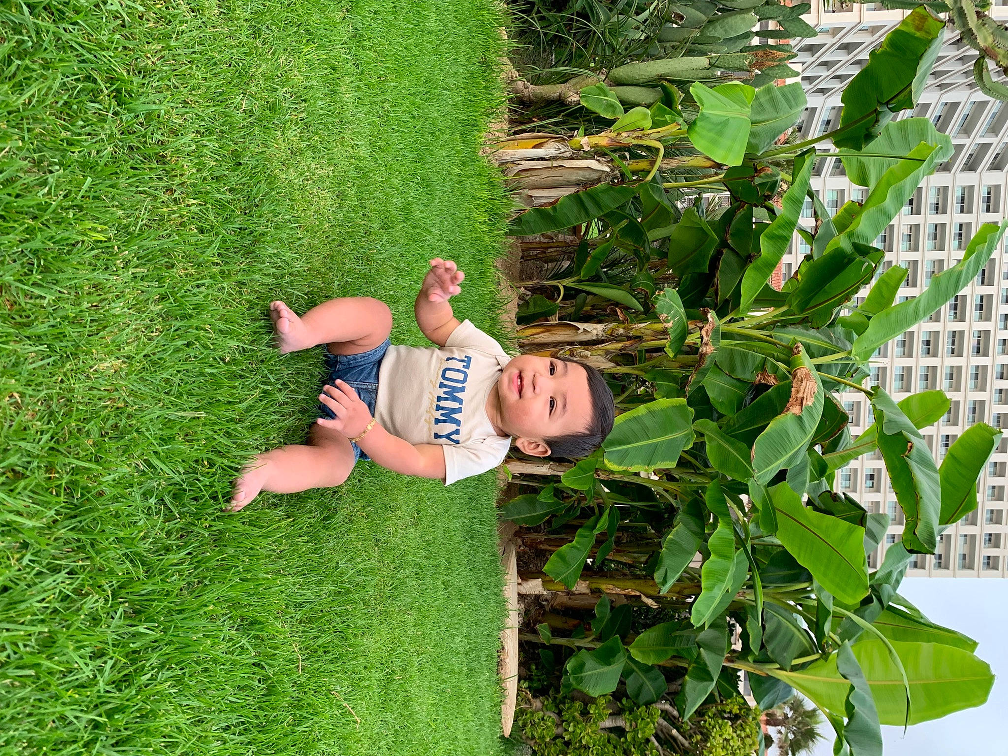 Elias joined the competition — help win amazing prizes! backyard, flower, flowering_plant, garden, gardening, grass, grassland, green, groundcover, herb, landscaping, lawn_ornament, leisure, people_in_nature, person, plant, shrub, terrestrial_plant, toddler, tree