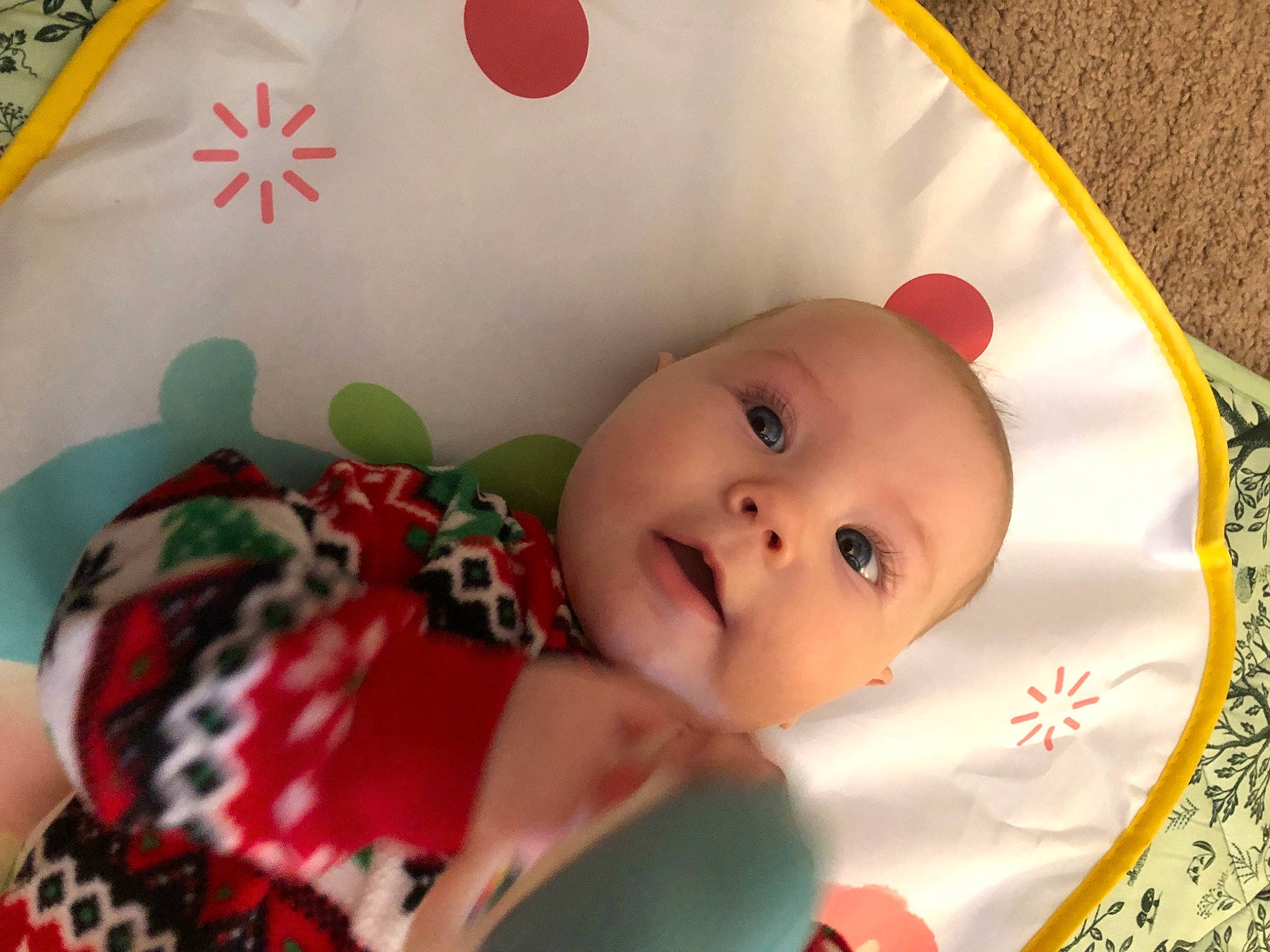 Lucie is registered to the contest to win money with this photo: baby, baby_products, baby_toddler_clothing, baby_toys, carmine, cheek, child, christmas, christmas_eve, event, happy, holiday, linens, ornament, pattern, person, plaid, room, tartan, toddler