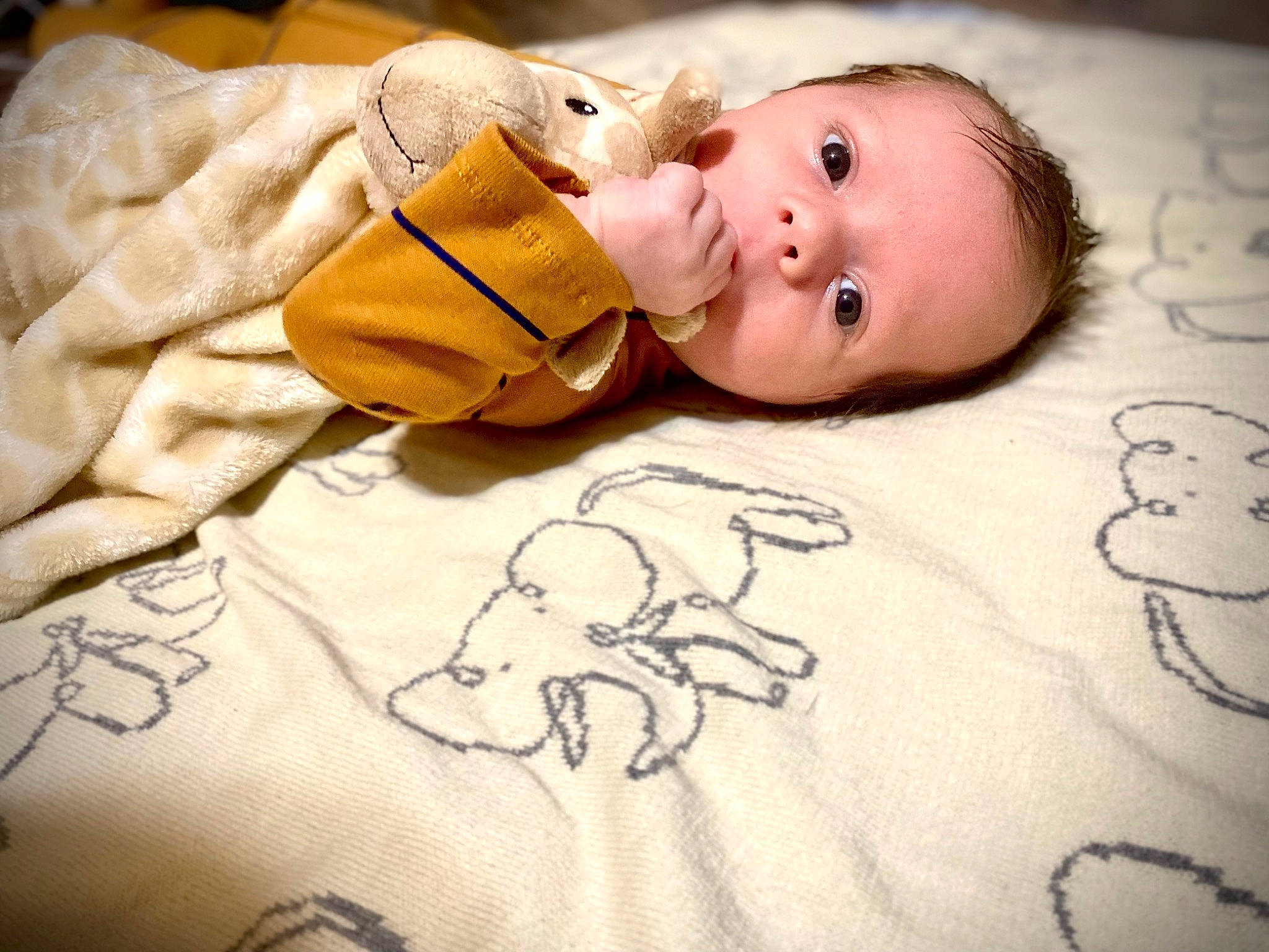 Peyton joined the competition — help win amazing prizes! baby, baby_products, baby_sleeping, baby_toddler_clothing, bedtime, cheek, child, comfort, face, happy, head, linens, nose, person, room, skin, sleeve, textile, toddler, white