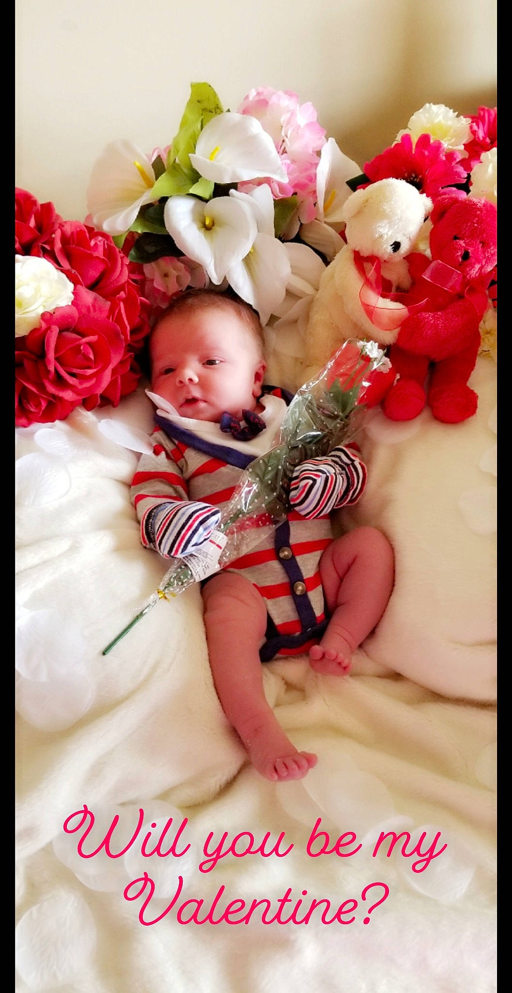 Lawrence is registered to the contest to win money with this photo: baby, bouquet, child, cut_flowers, flower, happy, love, person, petal, photo_caption, photography, pink, plant, red, rose, smile, sweetness, toddler, valentines_day
