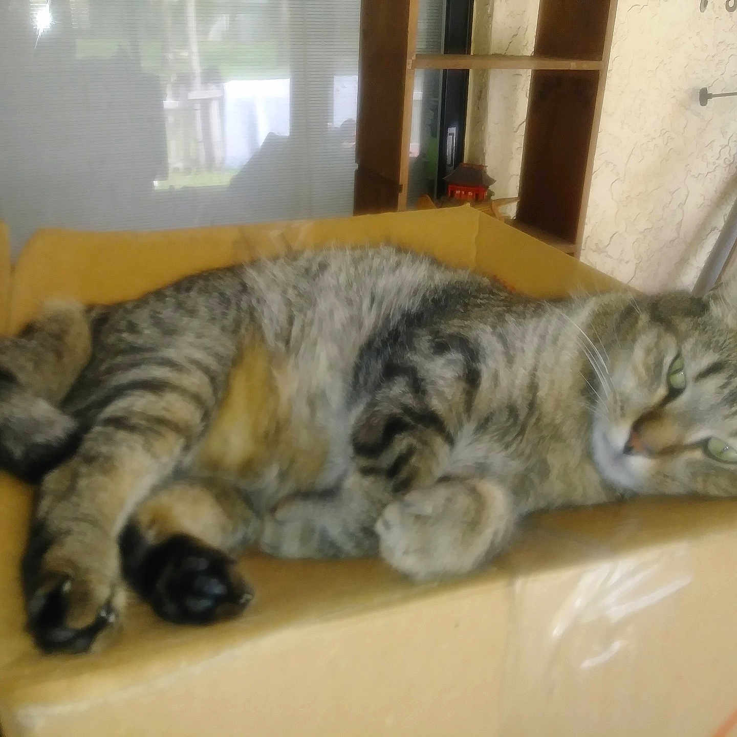 Max
