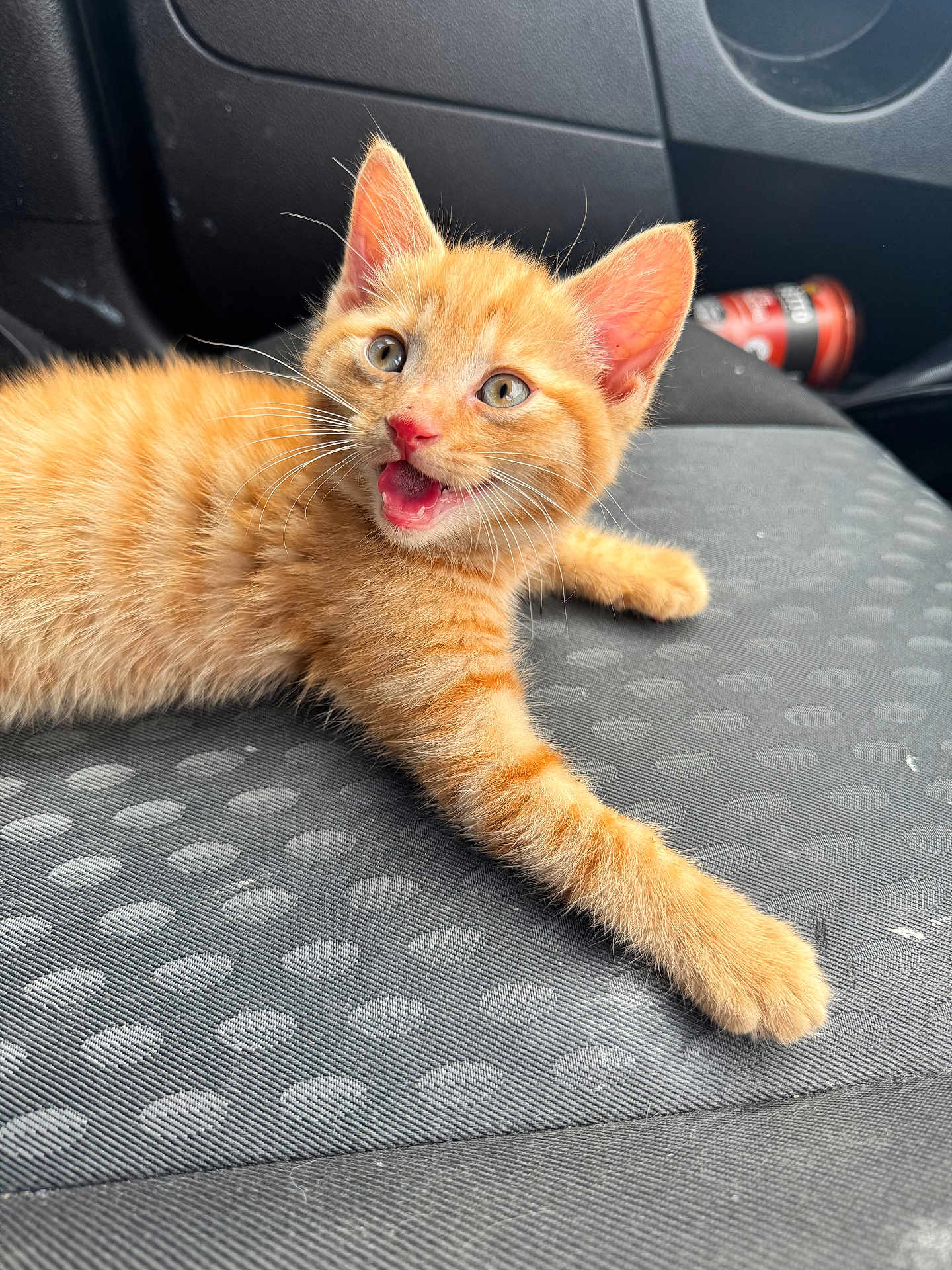 Mufasa