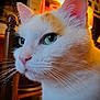 animal, cat, chair, close_up, cozy, cute, domestic_cat, focus, fur, furniture, green_eyes, indoor, lighting, orange_patch, pet, portrait, side_view, wall_art, whiskers, white_fur