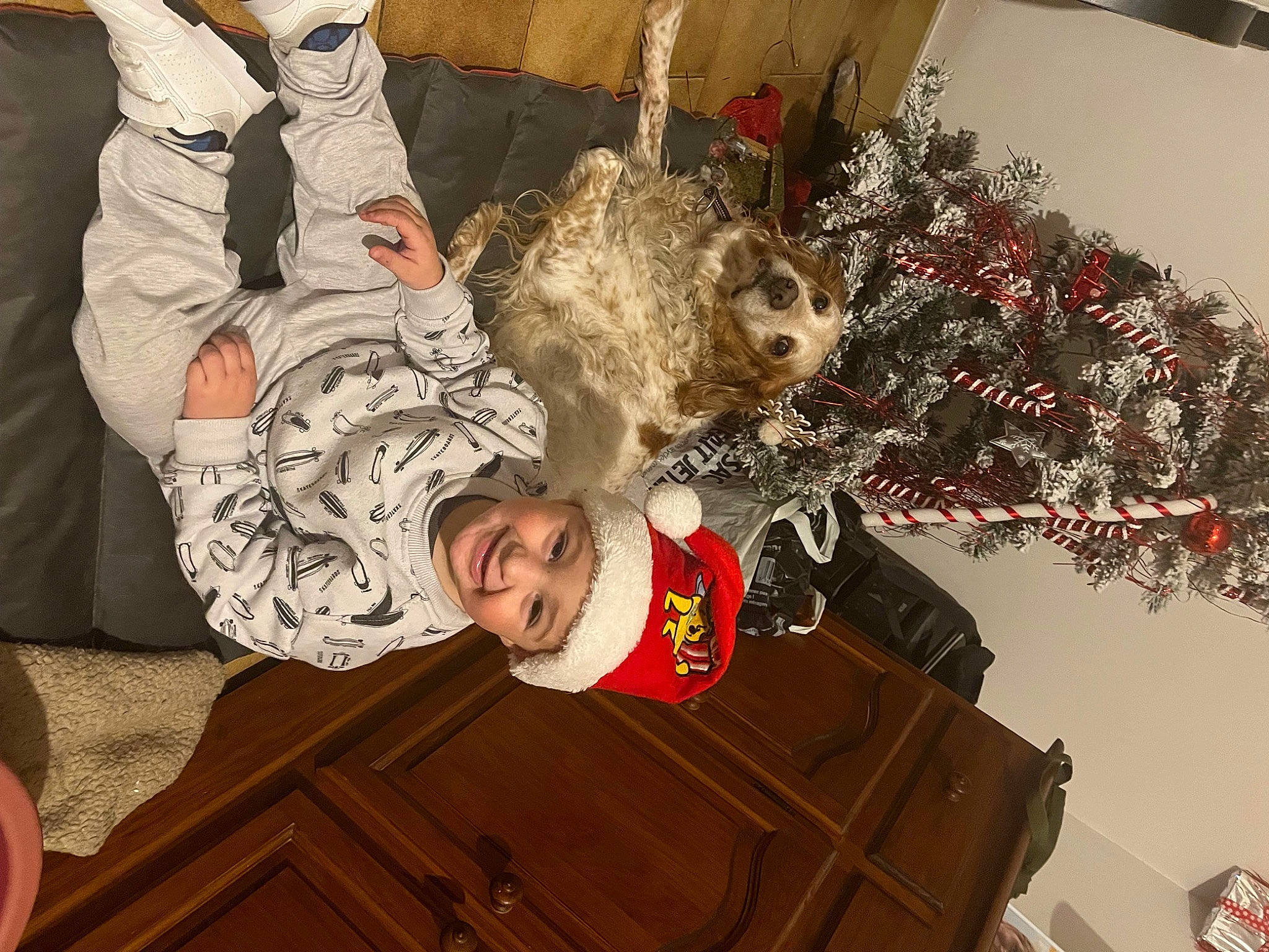 Alessio a rejoint le concours — aidez-le/la à gagner de superbes lots ! christmas, christmas_decoration, christmas_eve, christmas_ornament, christmas_tree, event, fun, fur, fur_clothing, hat, headwear, holiday, holiday_ornament, interior_design, joy, mammal, ornament, outerwear, person, textile