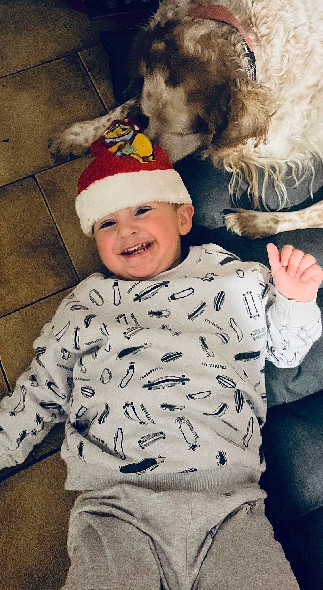 Alessio a rejoint le concours — aidez-le/la à gagner de superbes lots ! baby, baby_toddler_clothing, cap, child, costume_hat, event, fictional_character, fun, fur, gesture, hairstyle, happy, headwear, joy, laugh, mammal, pattern, person, room, sitting