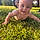 Noah