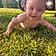 Noah