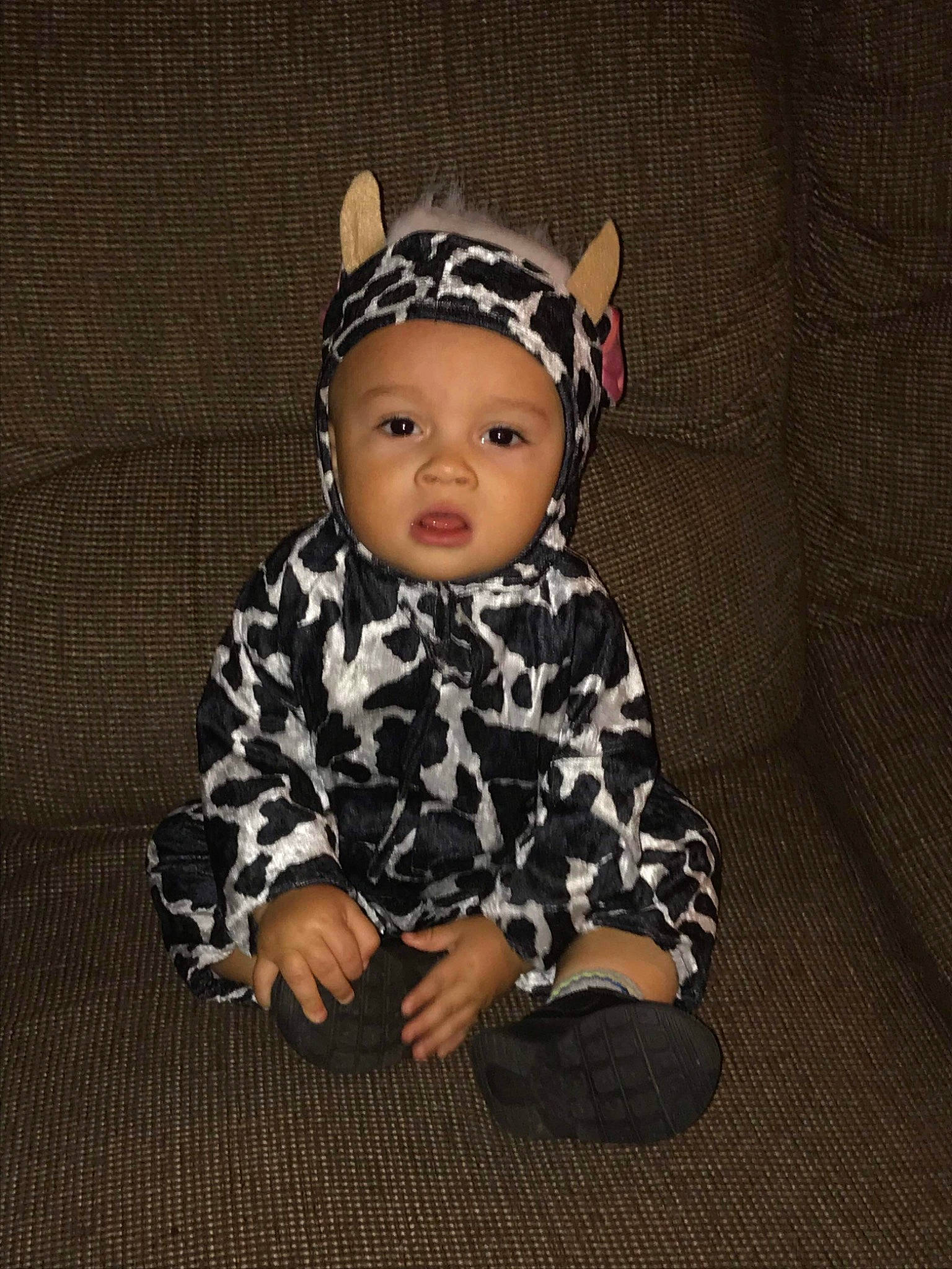 Hayes is registered to the contest to win money with this photo: baby, baby_toddler_clothing, beanie, cheek, child, clothing, collar, costume, costume_accessory, costume_hat, fashion_accessory, flash_photography, head, headband, headpiece, headwear, pattern, person, personal_protective_equipment, sitting