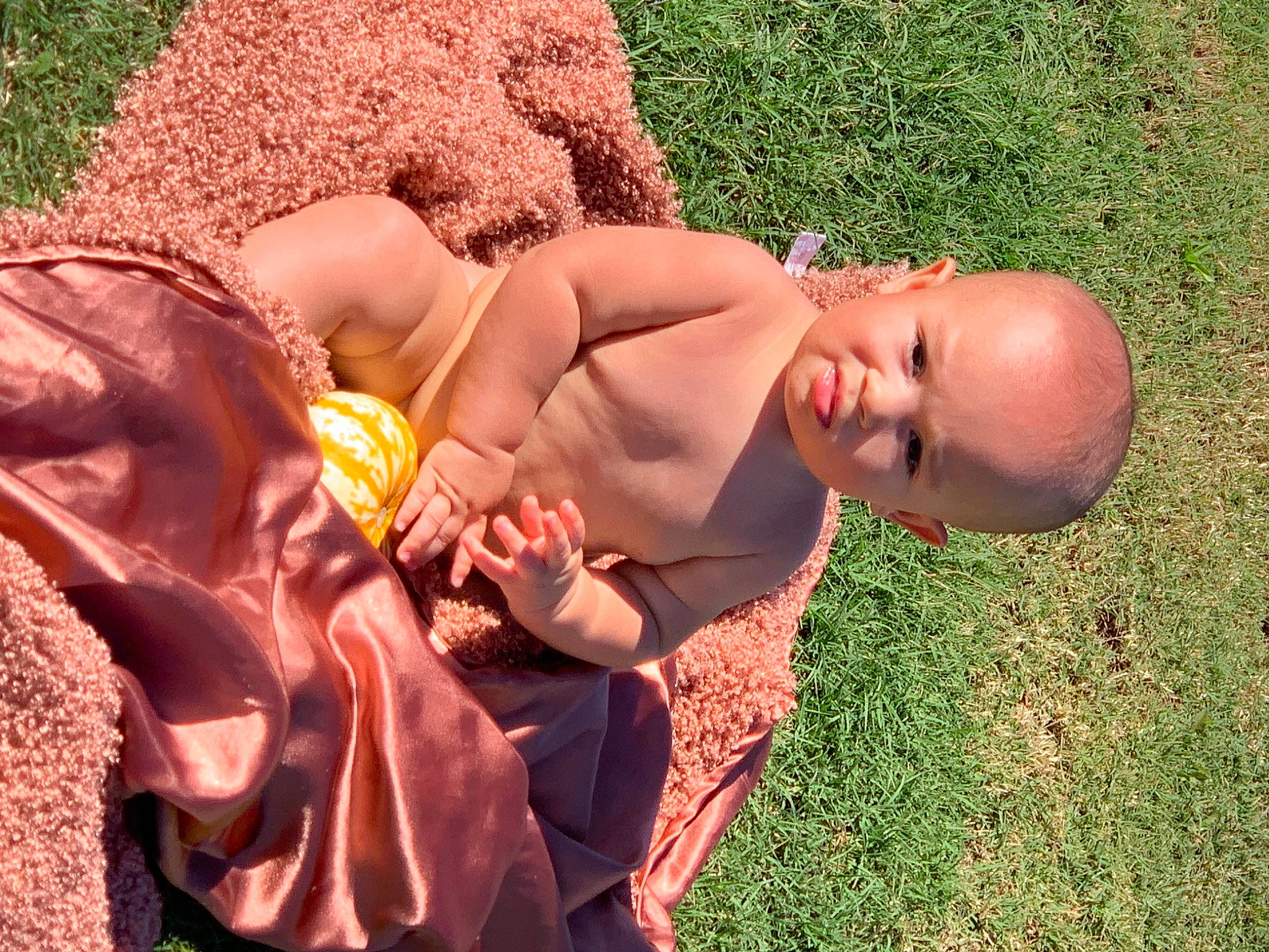 Hayes is registered to the contest to win money with this photo: abdomen, baby, barechested, chest, fawn, finger, fun, grass, hand, happy, human_body, lawn, leisure, people_in_nature, person, plant, thigh, toddler, tree, trunk