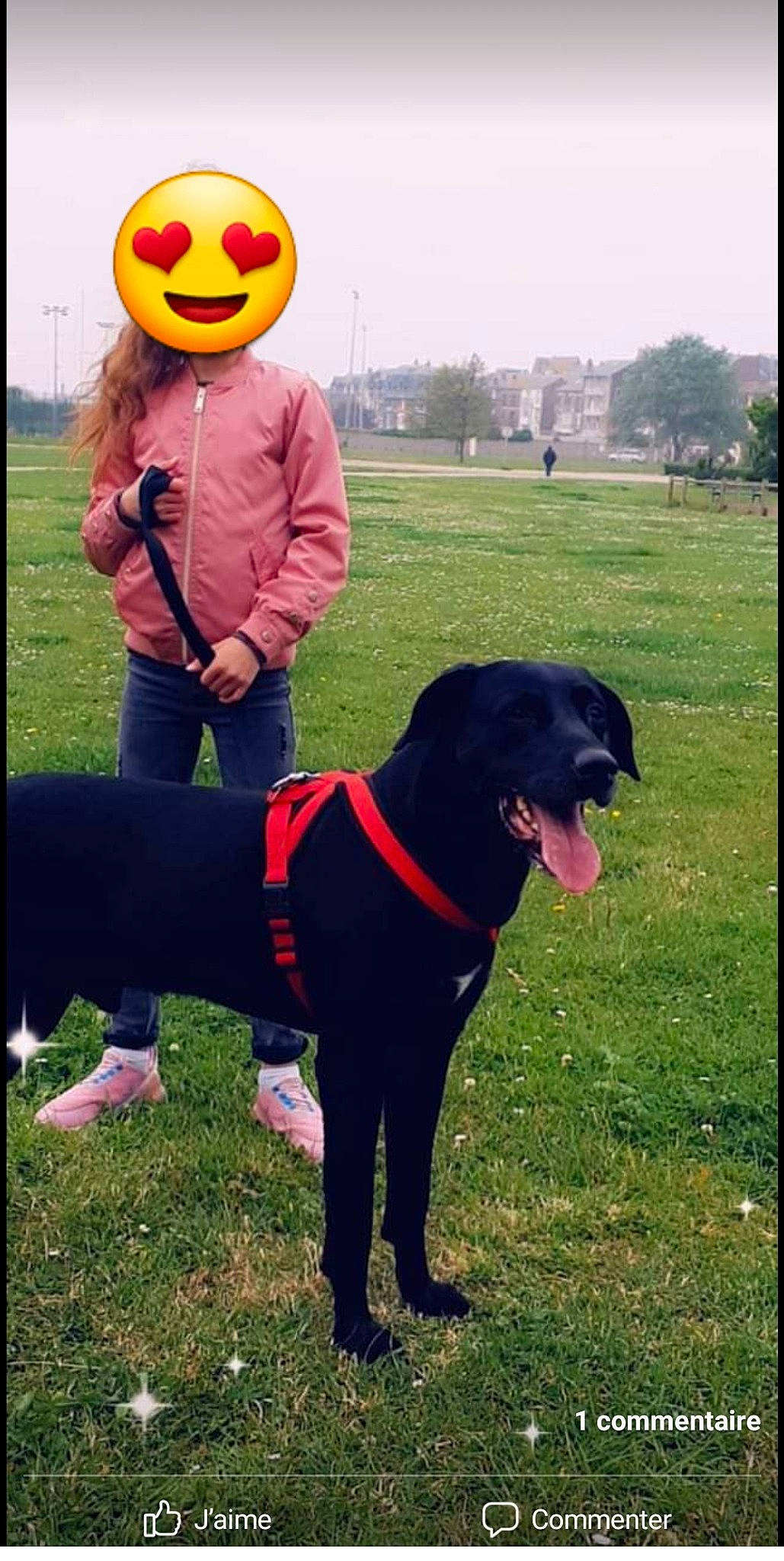 Angel a rejoint le concours — aidez-le/la à gagner de superbes lots ! canidae, carnivore, companion_dog, dog, dog_breed, dog_collar, emoticon, grass, grassland, happy, leisure, mascot, personal_protective_equipment, plant, recreation, sky, smiley, sporting_group, tree, yellow